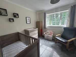 Photo 3- click for photo gallery